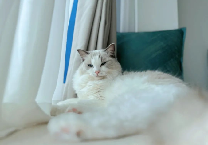 �P��һ��СС���h�����s�����҂�����������ğo���㽣�